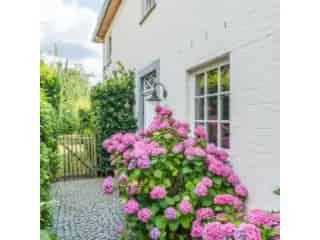 Villa te koop - Eigenbrakel VWD14407
In optie