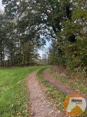 Bouwgrond te koop in Waasmunster
