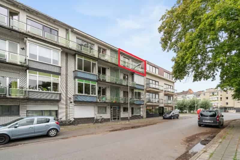Appartement te koop in Lokeren