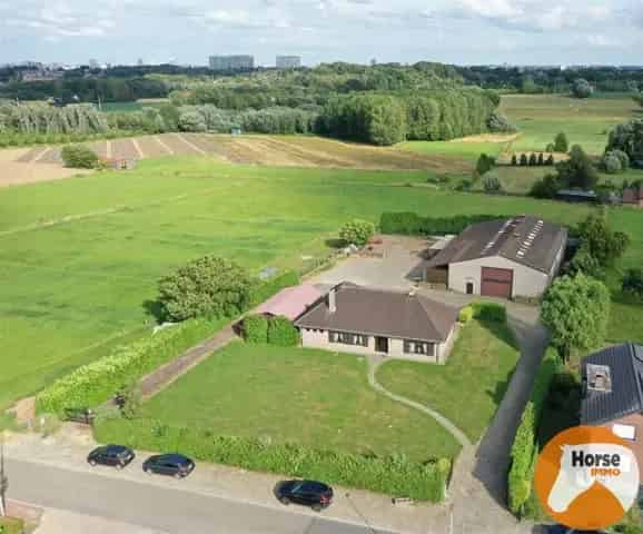 Villa te koop in Dilbeek