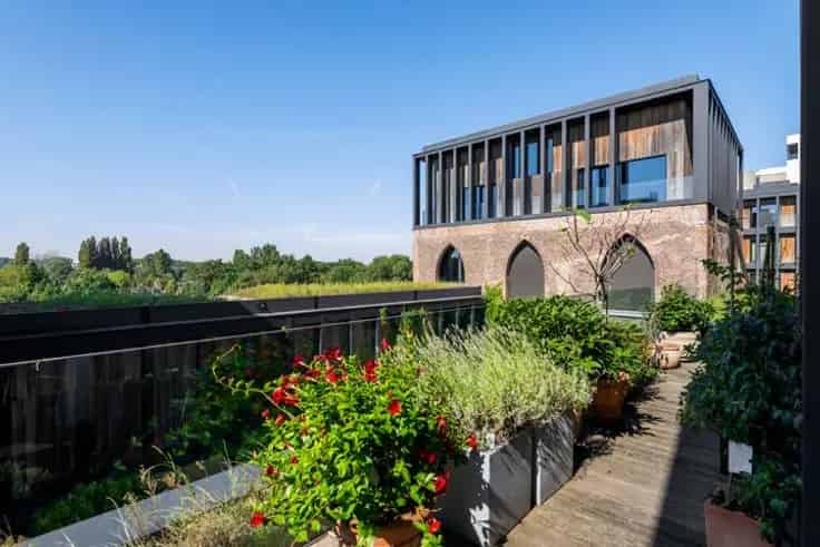 Penthouse Te Koop