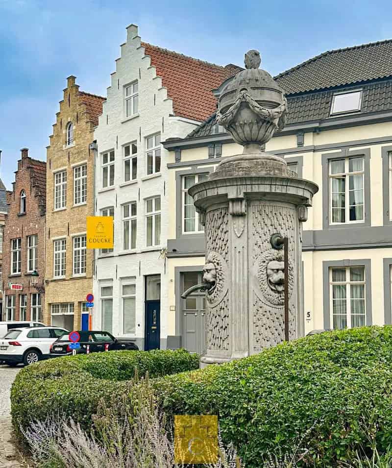 pas gerenoveerd diephuis op iconisch stadsplein, een meesterwerk van historiek en hedendaagse luxe