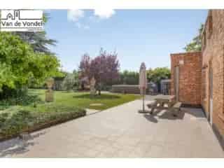 Huis gemengd gebruik te koop - Koksijde RBT69936


In optie
