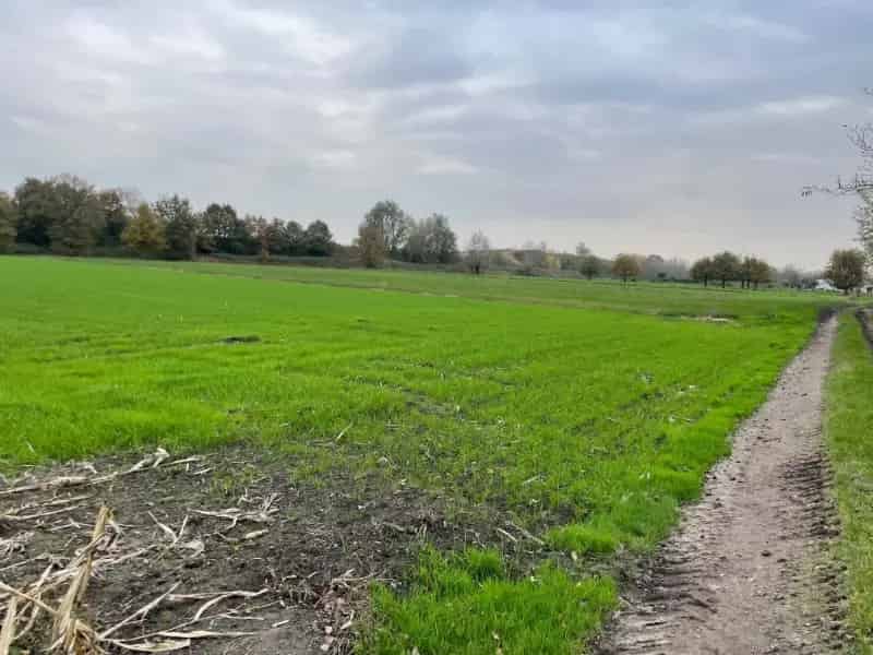 Grond te koop in Lochristi