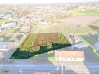 Bouwgrond te koop - Deerlijk RBS06216