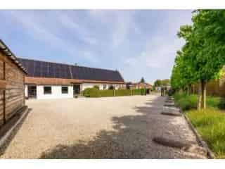 Handelspand te koop - Pittem RBT45759