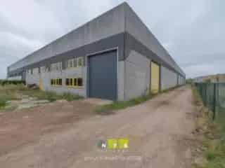 Industrie te koop - Maaseik RBQ51452