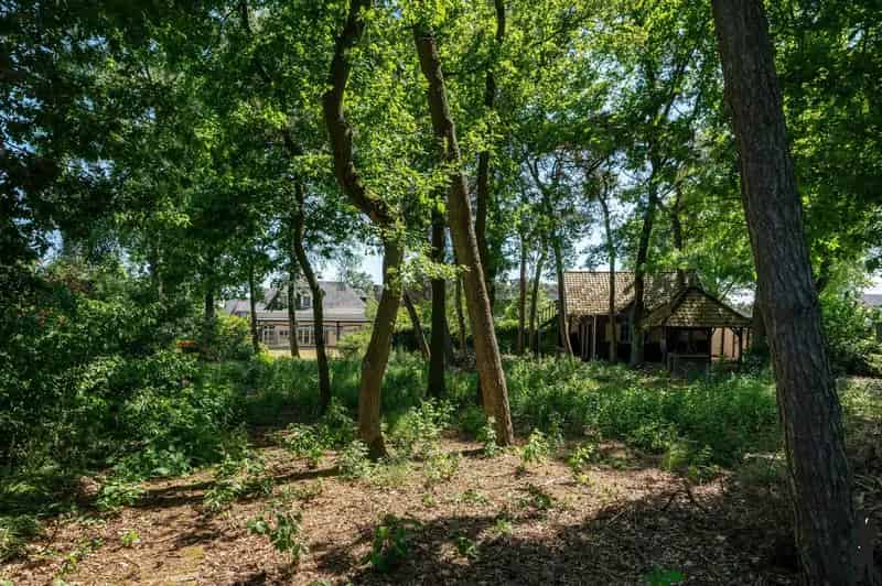 Huis te koop