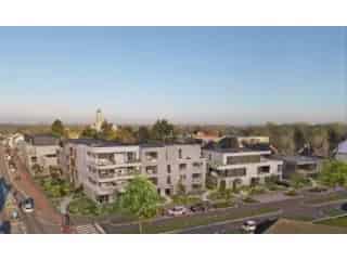 Handelspand te koop - Zemst RBT21791
