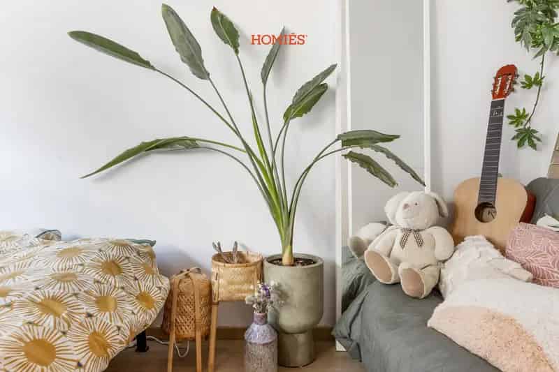 Appartement te huur