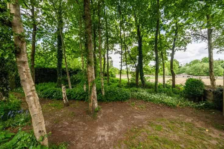 Huis Te Koop Sint-Niklaas: Te renoveren halfopen bebouwing 1265m²