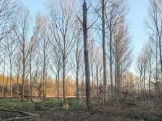 Landbouwgrond te koop - Haacht RBS76335