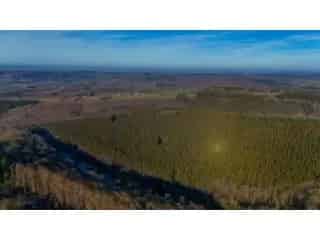 Grond te koop - Ferrières VBC54035
