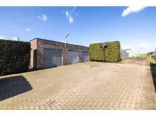 Industrie te koop - Herenthout RBT14869