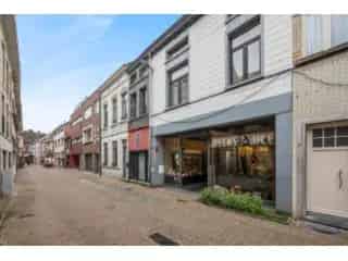 Handelspand te koop - Boom RBT16631