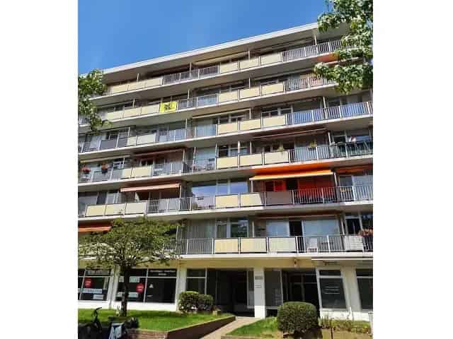 Steynstraat 373
