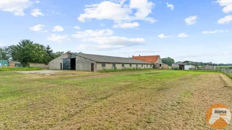 HEIST-OP-DEN-BERG - Te renoveren landbouwwoning met loods op 2,3 Ha