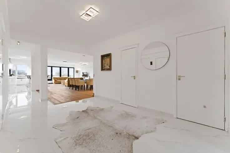 Gerenoveerd Appartement Harmoniepark