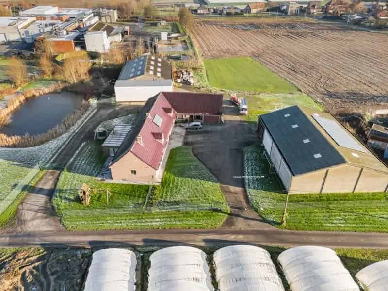 Woning te koop Staden