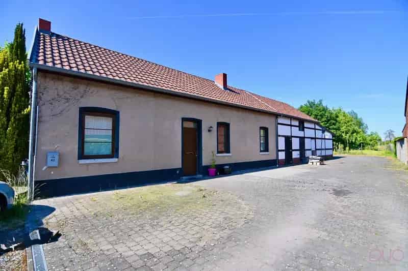 Knusse fermette met weilanden en paardenstallen, op een perceel van 70 are in Sint-Truiden