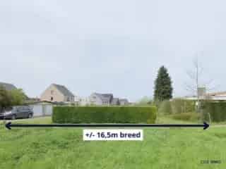 Bouwgrond te koop - Pellenberg RBT00029