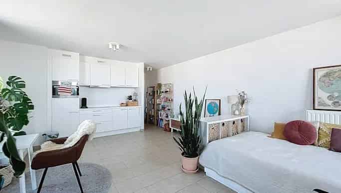 Appartement te huur in Alphonse Vandenpeereboomstraat 162, Sint-Jans-Molenbeek - Dewaele