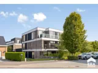 Gelijkvloers te koop - Lennik RBU17581


In optie