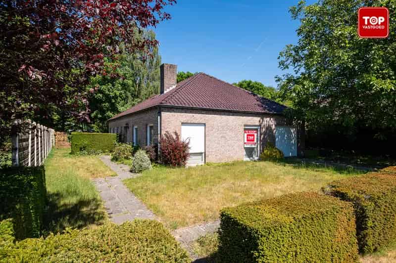 Huis te huur Vinderhoute 5 slaapkamers Op te frissen