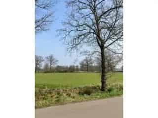 Grond te koop - Olmen RBT96432