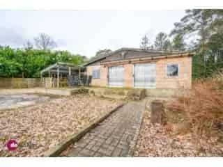 Bungalow te koop - Haacht RBS69498