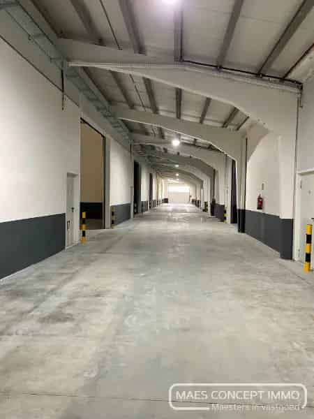 Opslagruimtes vanaf 150 m2 te huur in Anzegem