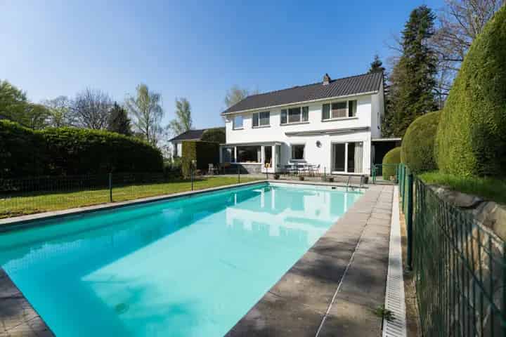 Bouleaux 60