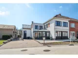 Handelspand te koop - Geetbets RBT25464