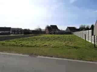 Grond te koop - Geel RBS88368