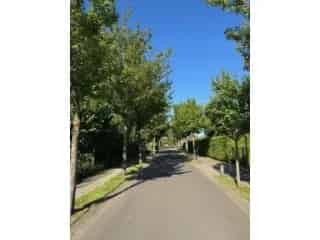 Project: Olea - Woningen - Olen 1485769-00955250_OM_242593