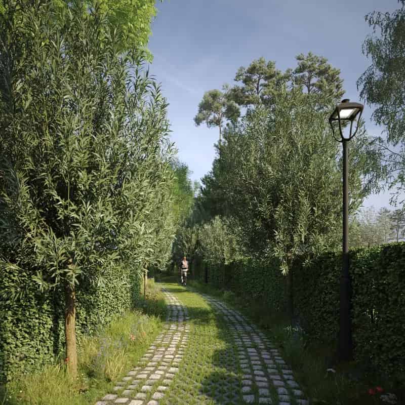Grond te huur