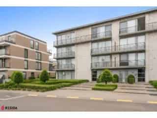 Appartement te koop Avelgem