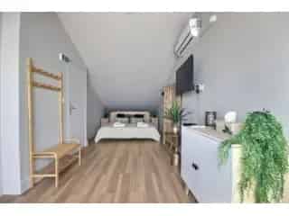 Handelspand te koop - Moeskroen VBD12750