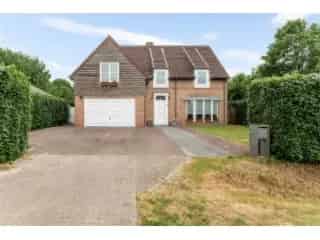 Villa te koop - Wommelgem RBT74252


In optie