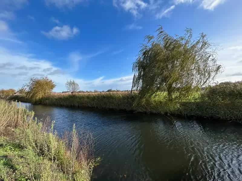 Bouwgrond te koop in Wachtebeke