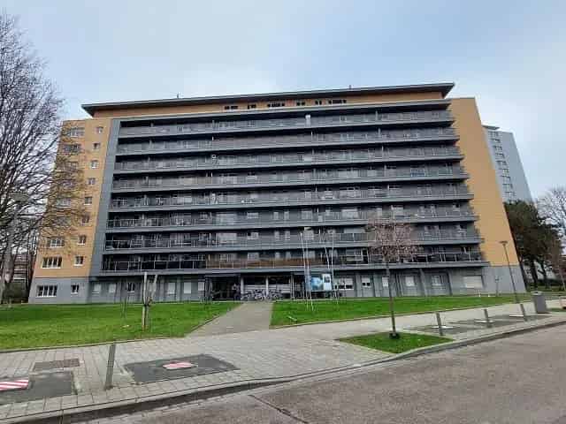 Gebroeders De Wachterstraat 17-199