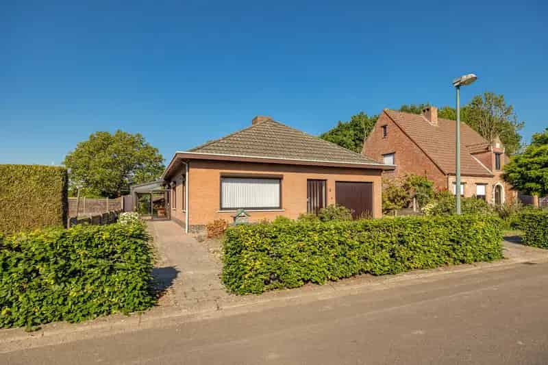 Laagbouwwoning te Merksplas