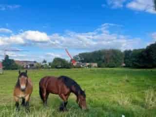 Huis te koop - Kortenberg RBU25815