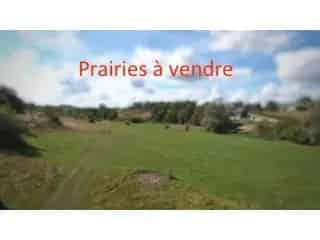 Landbouwgrond te koop - Chimay VBC27115