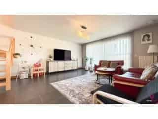 Duplex te koop - Heusden-Zolder RBT10193   In optie