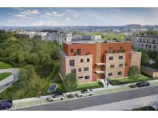 Project: Terra Nostra O - Eigenbrakel 21575-6786056