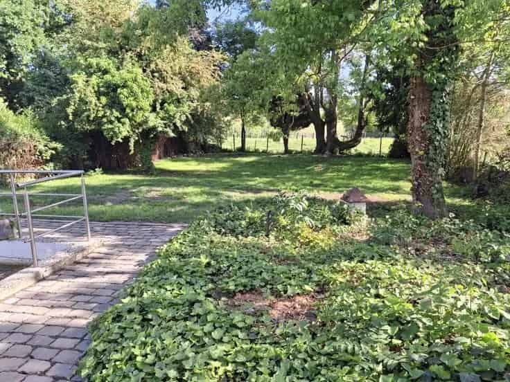 Landhuis Grote Renovatie Rustige Locatie