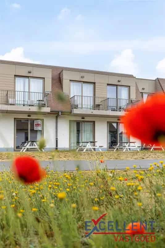 Opbrengsteigendom te koop in Jabbeke