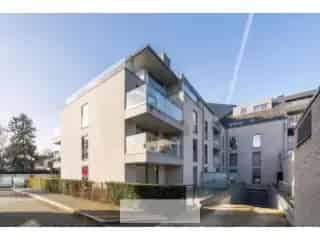 Project: Residentie Albatros - Waregem 25687-1653652