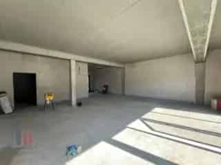 Handelspand te koop - Drongen RBT41438